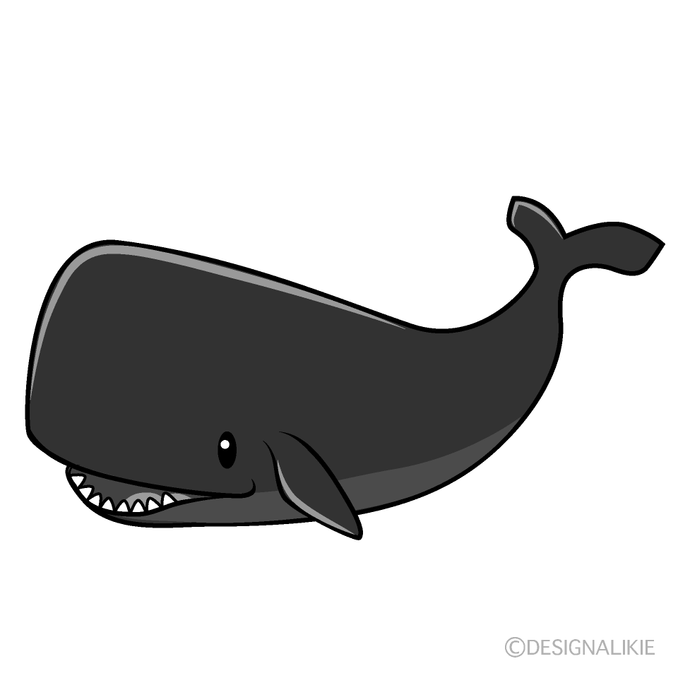 かわいいマッコウクジラ白黒イラスト